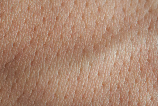 beautykin-Comedogenic vs non-comedogenic: do you know the difference? | Ask the Skin Care Experts | Beauty Kin