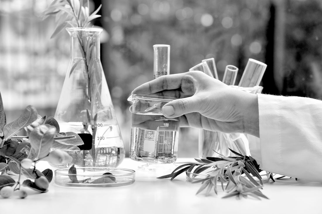 beautykin-Understanding Active Ingredients in Skin Care